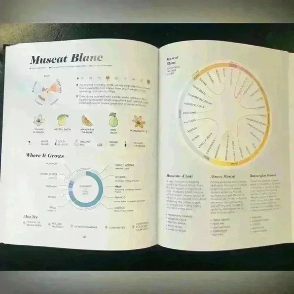 Wine Folly Magnum Edition The Master Guide Book - Picture 3 of 4